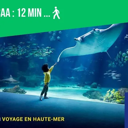 Le Refuge Des Marees - Idealement Situe